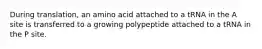 During translation, an amino acid attached to a tRNA in the A site is transferred to a growing polypeptide attached to a tRNA in the P site.