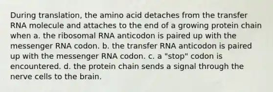 During translation, the amino acid detaches from the transfer RNA molecule and attaches to the end of a growing protein chain when a. the ribosomal RNA anticodon is paired up with the messenger RNA codon. b. the transfer RNA anticodon is paired up with the messenger RNA codon. c. a "stop" codon is encountered. d. the protein chain sends a signal through the nerve cells to the brain.