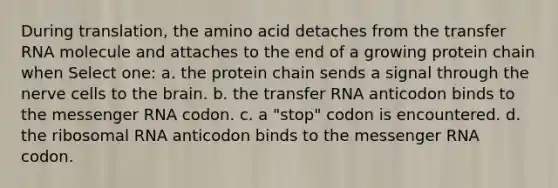 During translation, the amino acid detaches from the transfer RNA molecule and attaches to the end of a growing protein chain when Select one: a. the protein chain sends a signal through the nerve cells to the brain. b. the transfer RNA anticodon binds to the messenger RNA codon. c. a "stop" codon is encountered. d. the ribosomal RNA anticodon binds to the messenger RNA codon.