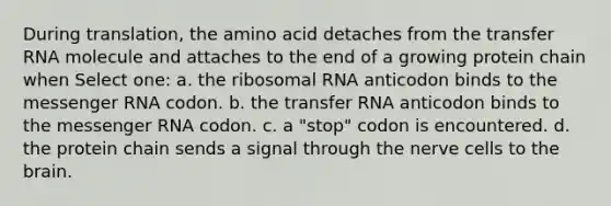 During translation, the amino acid detaches from the transfer RNA molecule and attaches to the end of a growing protein chain when Select one: a. the ribosomal RNA anticodon binds to the messenger RNA codon. b. the transfer RNA anticodon binds to the messenger RNA codon. c. a "stop" codon is encountered. d. the protein chain sends a signal through the nerve cells to the brain.