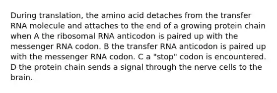 During translation, the amino acid detaches from the transfer RNA molecule and attaches to the end of a growing protein chain when A the ribosomal RNA anticodon is paired up with the messenger RNA codon. B the transfer RNA anticodon is paired up with the messenger RNA codon. C a "stop" codon is encountered. D the protein chain sends a signal through the nerve cells to the brain.