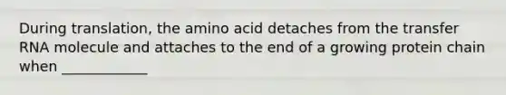 During translation, the amino acid detaches from the transfer RNA molecule and attaches to the end of a growing protein chain when ____________