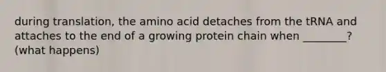 during translation, the amino acid detaches from the tRNA and attaches to the end of a growing protein chain when ________? (what happens)