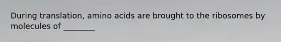 During translation, amino acids are brought to the ribosomes by molecules of ________