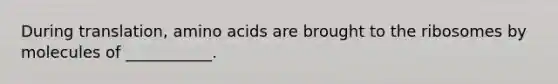 During translation, amino acids are brought to the ribosomes by molecules of ___________.