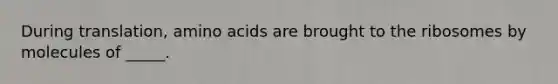 During translation, amino acids are brought to the ribosomes by molecules of _____.