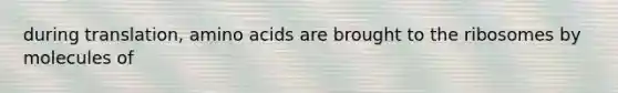 during translation, amino acids are brought to the ribosomes by molecules of