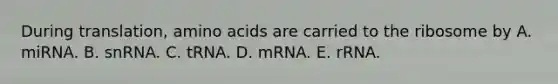 During translation, <a href='https://www.questionai.com/knowledge/k9gb720LCl-amino-acids' class='anchor-knowledge'>amino acids</a> are carried to the ribosome by A. miRNA. B. snRNA. C. tRNA. D. mRNA. E. rRNA.