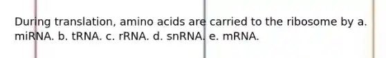 During translation, <a href='https://www.questionai.com/knowledge/k9gb720LCl-amino-acids' class='anchor-knowledge'>amino acids</a> are carried to the ribosome by a. miRNA. b. tRNA. c. rRNA. d. snRNA. e. mRNA.