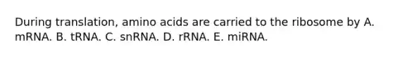 During translation, amino acids are carried to the ribosome by A. mRNA. B. tRNA. C. snRNA. D. rRNA. E. miRNA.