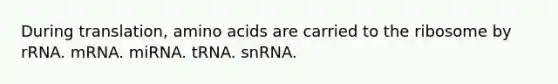 During translation, amino acids are carried to the ribosome by rRNA. mRNA. miRNA. tRNA. snRNA.