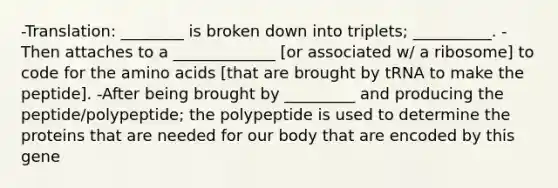 -Translation: ________ is broken down into triplets; __________. -Then attaches to a _____________ [or associated w/ a ribosome] to code for the amino acids [that are brought by tRNA to make the peptide]. -After being brought by _________ and producing the peptide/polypeptide; the polypeptide is used to determine the proteins that are needed for our body that are encoded by this gene