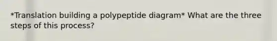 *Translation building a polypeptide diagram* What are the three steps of this process?