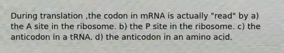 During translation ,the codon in mRNA is actually "read" by a) the A site in the ribosome. b) the P site in the ribosome. c) the anticodon in a tRNA. d) the anticodon in an amino acid.