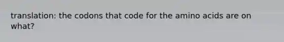 translation: the codons that code for the amino acids are on what?