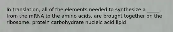 In translation, all of the elements needed to synthesize a _____, from the mRNA to the amino acids, are brought together on the ribosome. protein carbohydrate nucleic acid lipid