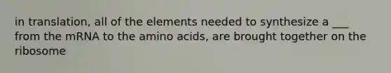 in translation, all of the elements needed to synthesize a ___ from the mRNA to the amino acids, are brought together on the ribosome