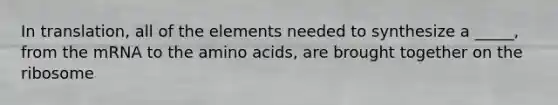 In translation, all of the elements needed to synthesize a _____, from the mRNA to the amino acids, are brought together on the ribosome