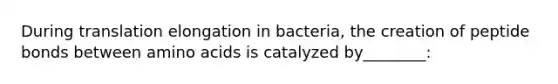 During translation elongation in bacteria, the creation of peptide bonds between amino acids is catalyzed by________: