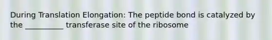 During Translation Elongation: The peptide bond is catalyzed by the __________ transferase site of the ribosome