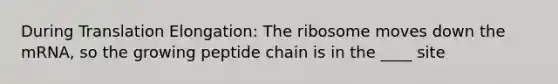 During Translation Elongation: The ribosome moves down the mRNA, so the growing peptide chain is in the ____ site