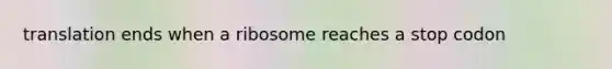 translation ends when a ribosome reaches a stop codon