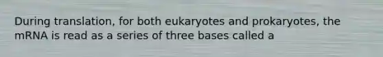 During translation, for both eukaryotes and prokaryotes, the mRNA is read as a series of three bases called a