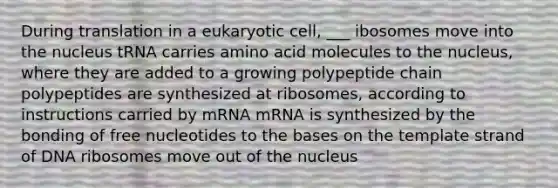 During translation in a eukaryotic cell, ___ ibosomes move into the nucleus tRNA carries amino acid molecules to the nucleus, where they are added to a growing polypeptide chain polypeptides are synthesized at ribosomes, according to instructions carried by mRNA mRNA is synthesized by the bonding of free nucleotides to the bases on the template strand of DNA ribosomes move out of the nucleus