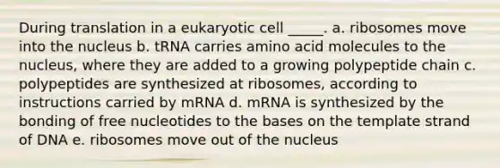 During translation in a eukaryotic cell _____. a. ribosomes move into the nucleus b. tRNA carries amino acid molecules to the nucleus, where they are added to a growing polypeptide chain c. polypeptides are synthesized at ribosomes, according to instructions carried by mRNA d. mRNA is synthesized by the bonding of free nucleotides to the bases on the template strand of DNA e. ribosomes move out of the nucleus