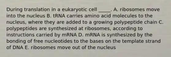 During translation in a eukaryotic cell _____. A. ribosomes move into the nucleus B. tRNA carries amino acid molecules to the nucleus, where they are added to a growing polypeptide chain C. polypeptides are synthesized at ribosomes, according to instructions carried by mRNA D. mRNA is synthesized by the bonding of free nucleotides to the bases on the template strand of DNA E. ribosomes move out of the nucleus