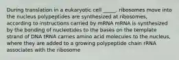 During translation in a eukaryotic cell _____. ribosomes move into the nucleus polypeptides are synthesized at ribosomes, according to instructions carried by mRNA mRNA is synthesized by the bonding of nucleotides to the bases on the template strand of DNA tRNA carries amino acid molecules to the nucleus, where they are added to a growing polypeptide chain rRNA associates with the ribosome