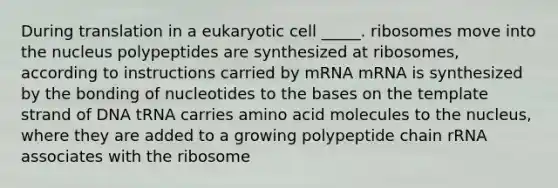 During translation in a eukaryotic cell _____. ribosomes move into the nucleus polypeptides are synthesized at ribosomes, according to instructions carried by mRNA mRNA is synthesized by the bonding of nucleotides to the bases on the template strand of DNA tRNA carries amino acid molecules to the nucleus, where they are added to a growing polypeptide chain rRNA associates with the ribosome