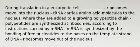 During translation in a eukaryotic cell, __________. - ribosomes move into the nucleus - tRNA carries amino acid molecules to the nucleus, where they are added to a growing polypeptide chain - polypeptides are synthesized at ribosomes, according to instructions carried by mRNA - mRNA is synthesized by the bonding of free nucleotides to the bases on the template strand of DNA - ribosomes move out of the nucleus