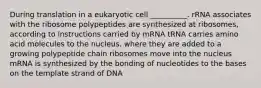 During translation in a eukaryotic cell __________. rRNA associates with the ribosome polypeptides are synthesized at ribosomes, according to instructions carried by mRNA tRNA carries amino acid molecules to the nucleus, where they are added to a growing polypeptide chain ribosomes move into the nucleus mRNA is synthesized by the bonding of nucleotides to the bases on the template strand of DNA