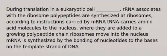 During translation in a eukaryotic cell __________. rRNA associates with the ribosome polypeptides are synthesized at ribosomes, according to instructions carried by mRNA tRNA carries amino acid molecules to the nucleus, where they are added to a growing polypeptide chain ribosomes move into the nucleus mRNA is synthesized by the bonding of nucleotides to the bases on the template strand of DNA