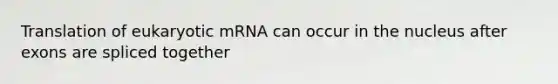 Translation of eukaryotic mRNA can occur in the nucleus after exons are spliced together