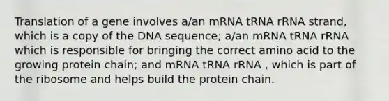 Translation of a gene involves a/an mRNA tRNA rRNA strand, which is a copy of the DNA sequence; a/an mRNA tRNA rRNA which is responsible for bringing the correct amino acid to the growing protein chain; and mRNA tRNA rRNA , which is part of the ribosome and helps build the protein chain.