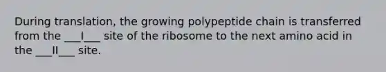 During translation, the growing polypeptide chain is transferred from the ___I___ site of the ribosome to the next amino acid in the ___II___ site.