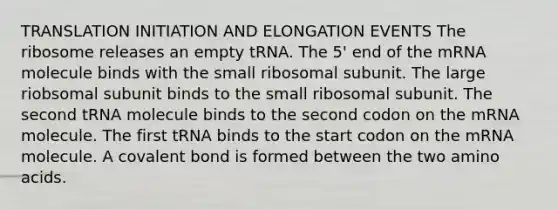 TRANSLATION INITIATION AND ELONGATION EVENTS The ribosome releases an empty tRNA. The 5' end of the mRNA molecule binds with the small ribosomal subunit. The large riobsomal subunit binds to the small ribosomal subunit. The second tRNA molecule binds to the second codon on the mRNA molecule. The first tRNA binds to the start codon on the mRNA molecule. A covalent bond is formed between the two amino acids.