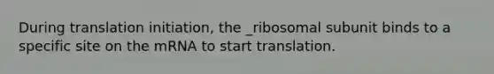 During translation initiation, the _ribosomal subunit binds to a specific site on the mRNA to start translation.