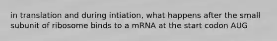 in translation and during intiation, what happens after the small subunit of ribosome binds to a mRNA at the start codon AUG