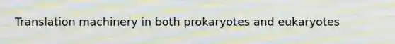 Translation machinery in both prokaryotes and eukaryotes