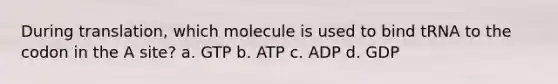 During translation, which molecule is used to bind tRNA to the codon in the A site? a. GTP b. ATP c. ADP d. GDP