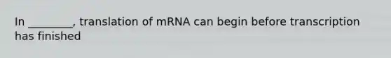 In ________, translation of mRNA can begin before transcription has finished