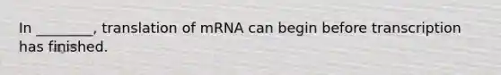 In ________, translation of mRNA can begin before transcription has finished.