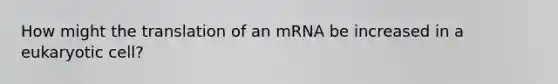 How might the translation of an mRNA be increased in a eukaryotic cell?