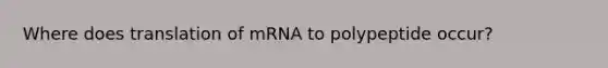 Where does translation of mRNA to polypeptide occur?