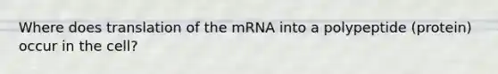 Where does translation of the mRNA into a polypeptide (protein) occur in the cell?