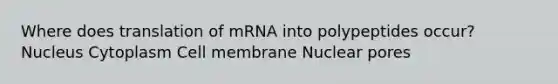 Where does translation of mRNA into polypeptides occur? Nucleus Cytoplasm Cell membrane Nuclear pores