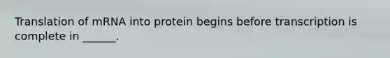 Translation of mRNA into protein begins before transcription is complete in ______.